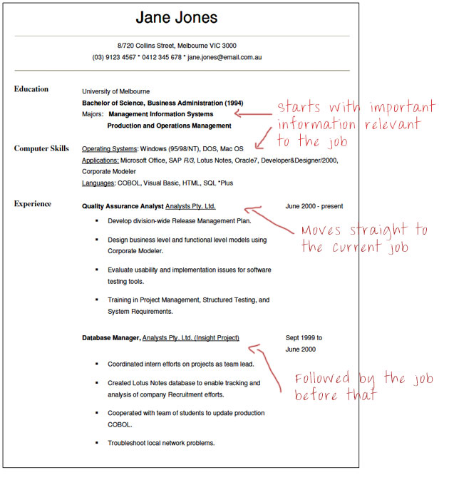 government resume example